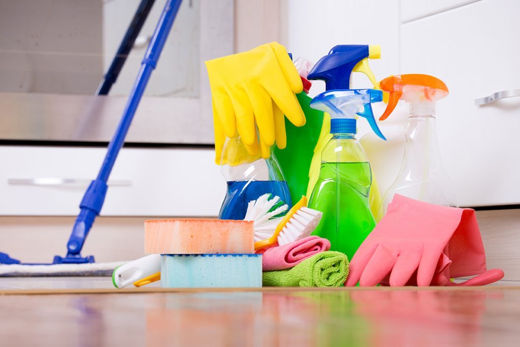 Spring Fall Cleaning Service
